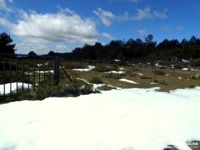 Pinar de Abantos y Zona de la Herrería del Real Sitio de San Lorenzo de El Escorial;valle del cabrie